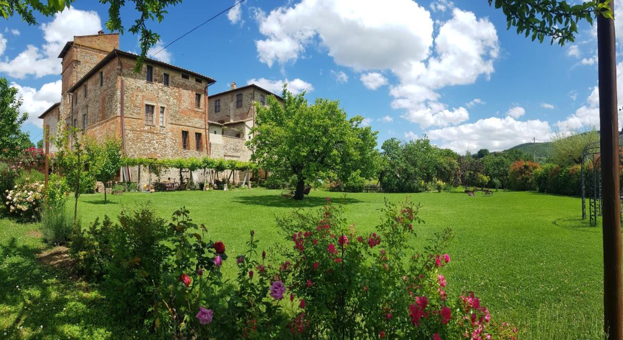 Agriturismo Abbazia Sette Frati A Casa Di Sara Pietrafitta  Ngoại thất bức ảnh