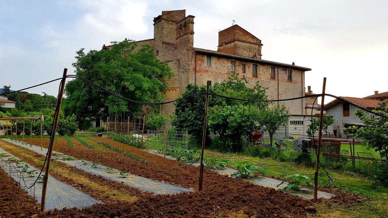 Agriturismo Abbazia Sette Frati A Casa Di Sara Pietrafitta  Ngoại thất bức ảnh