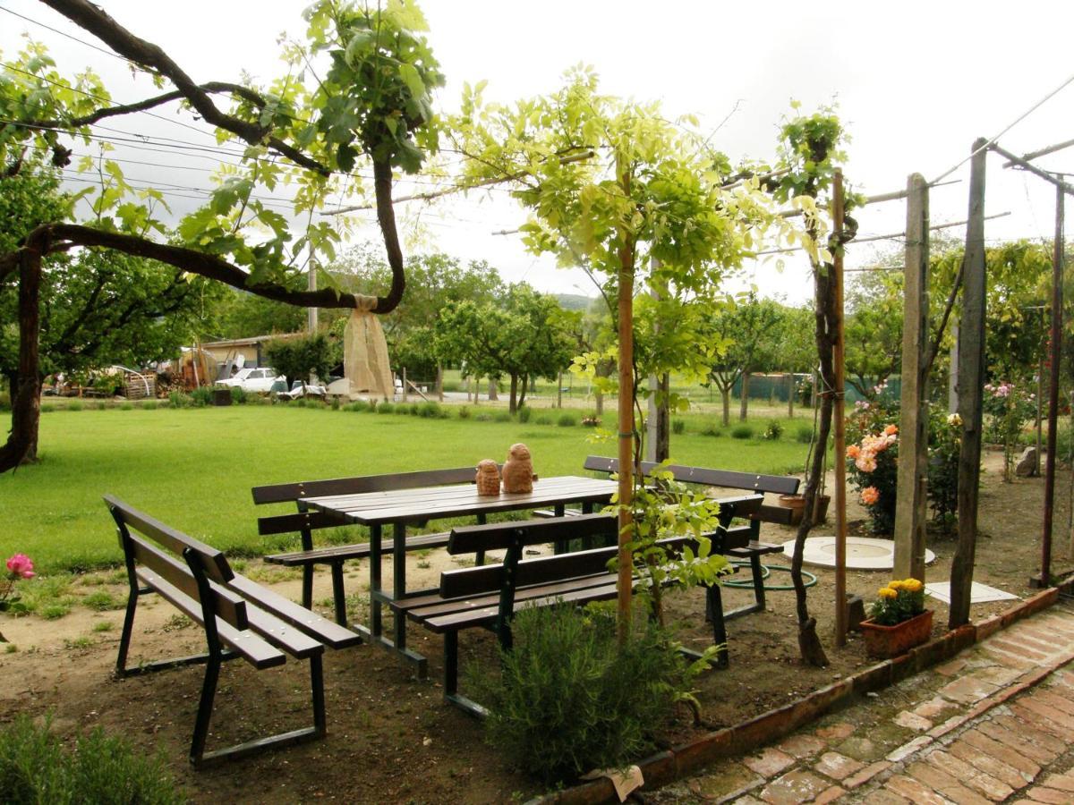 Agriturismo Abbazia Sette Frati A Casa Di Sara Pietrafitta  Ngoại thất bức ảnh