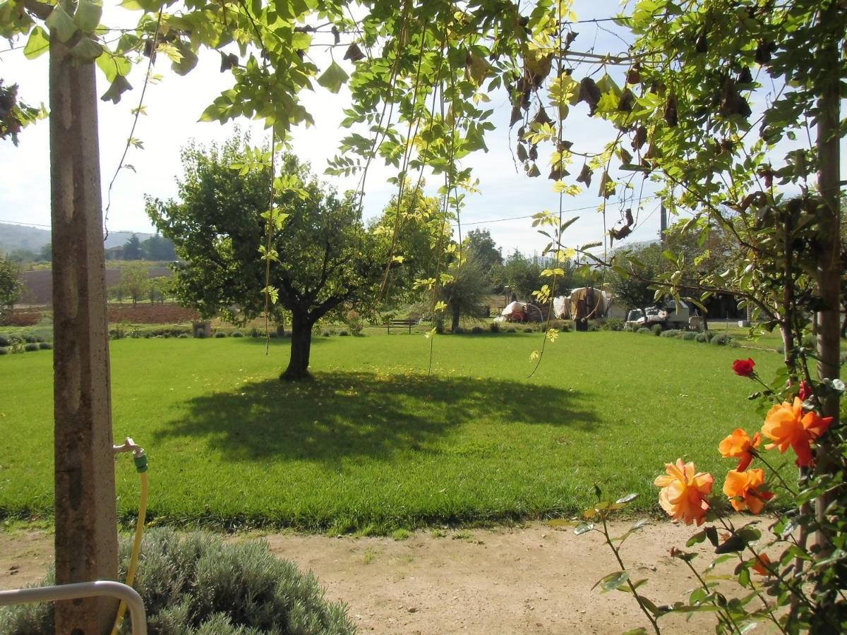 Agriturismo Abbazia Sette Frati A Casa Di Sara Pietrafitta  Ngoại thất bức ảnh